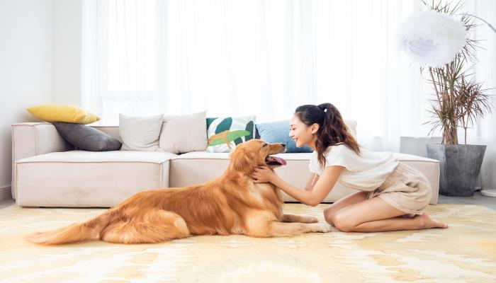 狗咬脚后跟歇后语 狗咬脚后跟歇后语是什么意思