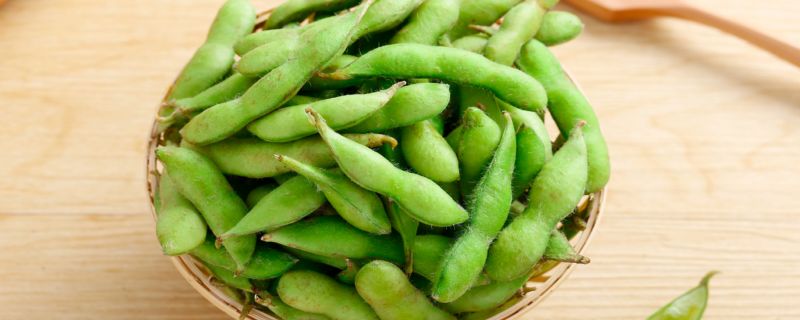 毛豆是发物吗 毛豆是不是发物