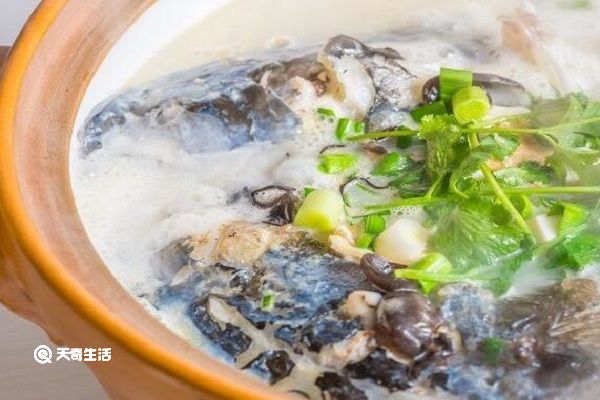 天麻川芎白芷炖鱼头的功效与作用 天麻川芎白芷炖鱼头的功效与作用禁忌