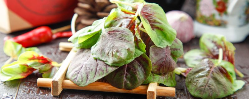 苋菜怎么读  苋菜的读法