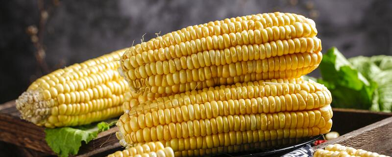 水果玉米热量 水果玉米热量是多少