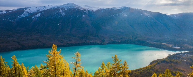 天鹅湖在什么地方 天鹅湖在哪个地方