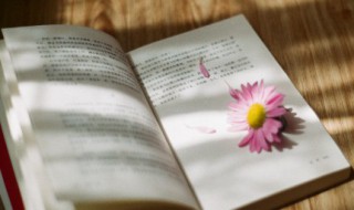 一句话领悟人生 一句话领悟人生的微博