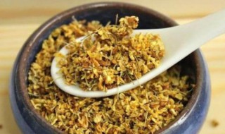 丁香花茶有什么功效（丁香花茶有什么功效与副作用）