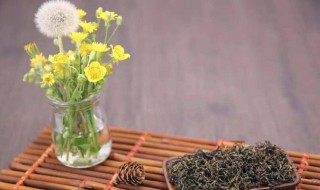 蒲公英茶有什么功效 蒲公英泡水功效