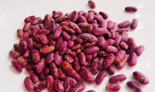 花芸豆的储存方法 花芸豆怎么保存