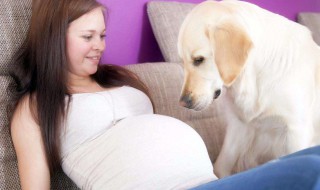 孕妇吃什么可以去湿气 孕妇吃什么可以去湿气和寒气