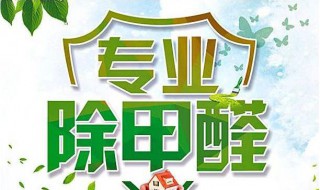 什么可以除甲醛又快又好（什么可以除甲醛又快又好用）