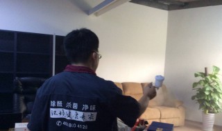 什么可以除甲醛除异味（什么可以除甲醛和异味）