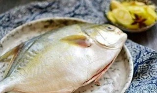 不宜吃白鲳鱼的人群 什么人不能吃白鲳鱼