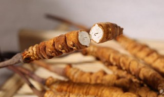 冬虫夏草三种人不宜吃（哪三种人不能吃冬虫夏草）