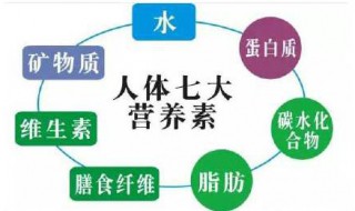 人体必须的七大营养素（人体必须的七大营养素包括）
