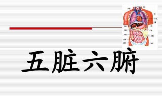 怎么养生调理五脏六腑 怎么养生调理五脏六腑视频