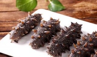 即食海参适合什么人吃（即食海参好吃吗）