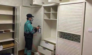 什么东西去除甲醛味最快（什么东西去除甲醛味最快最有效）