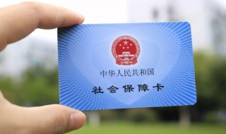 怎么查社保电脑号（手机怎么查社保电脑号）