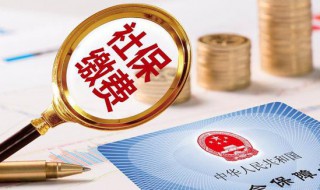 社保怎么缴纳（社保怎么缴纳的）