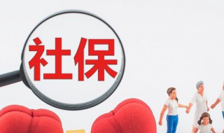 公司怎么办理社保（单位社保怎么申报）