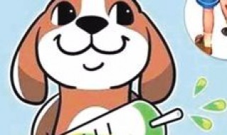 怎么打狂犬疫苗 静默期间怎么打狂犬疫苗