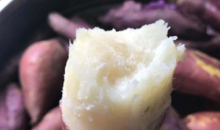 白地瓜有什么功效 白地瓜有什么功效和作用