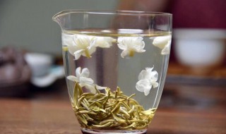 珠兰花茶和茉莉花茶的区别（珠兰花茶和茉莉花茶的区别）