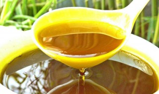 菜籽油有什么功效与作用 菜籽油有什么功效与作用及副作用