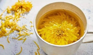 口腔上火喝菊花茶可以下火吗（口腔上火喝菊花茶可以下火吗女生）