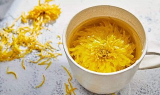 尤珠花茶怎么泡