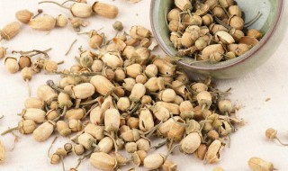 玳玳花茶的功效与作用 玳玳花泡茶功效