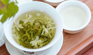 茉莉茶的功效与作用 茉莉花的功效与作用