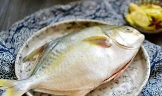 糖尿病人不宜吃金鲳鱼 糖尿病可以吃金鲳鱼