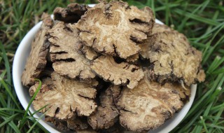川芎泡水喝的功效（丹参川芎泡水喝的功效）