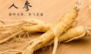 人参泡水可以天天喝吗（小孩子人参泡水可以天天喝吗）