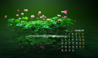 2020年9月宜嫁娶的日子（2020农历九月宜嫁娶的吉日）