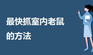 最快抓室内老鼠的方法 室内抓老鼠最有效方法