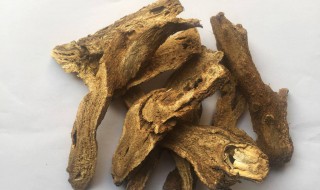 木香的作用与功效（中药木香的作用与功效）