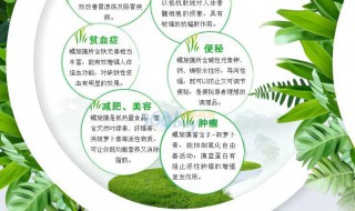螺旋藻的作用（螺旋藻的作用与功效百度百科）