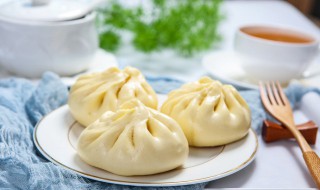 不发面也可以做包子的方法 不发的面可以做包子吗