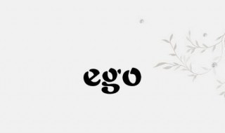 ego是什么意思中文（ego是什么意思中文翻译）