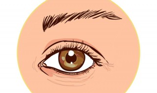 黑眼圈吃什么 黑眼圈吃什么食物好