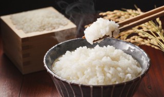 减肥是要多吃碳水吗 减肥为什么要多吃碳水