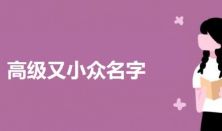 高级又小众名字（小众而高雅的昵称）