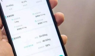 怎么看个人体脂（怎样看自己体脂）