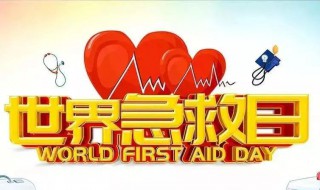 国际急救日是哪一天（今年是第几个国际急救日）