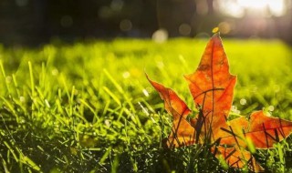 秋分后天气还热吗 秋分节气还热吗