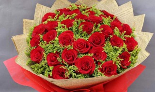 送女友什么生日礼物（女士生日送什么礼物最好）