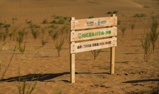 能量双击卡怎么获得 能量双击卡怎样获得