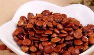 酸枣仁有什么作用（酸枣仁有什么作用和副作用）