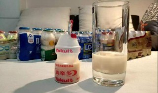 乳酸菌饮料孕妇可以喝吗 乳酸菌饮料孕妇可以喝吗早期