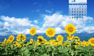 9月份的结婚黄道吉日 9月份的结婚黄道吉日查询
